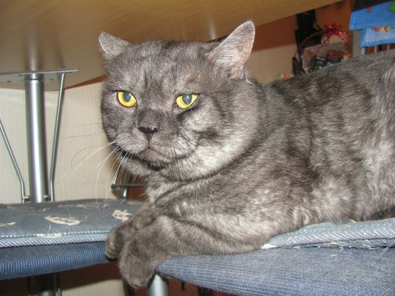 Кирилл Буханько | Красноярск