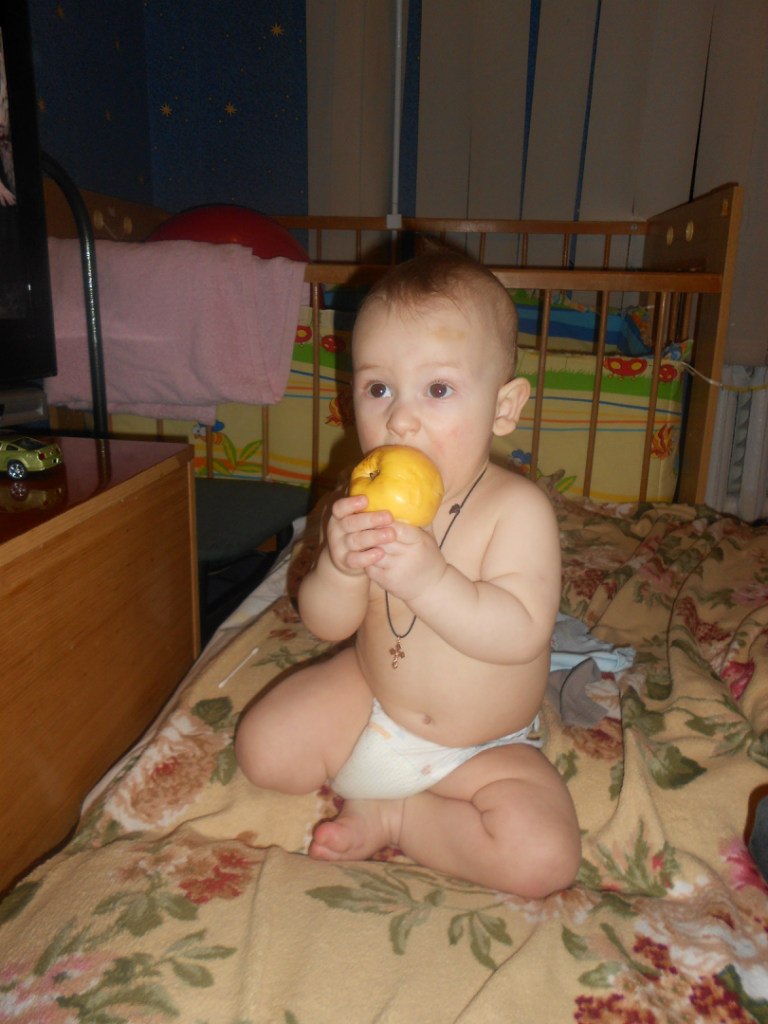 Вика Тодоренко | Гайворон