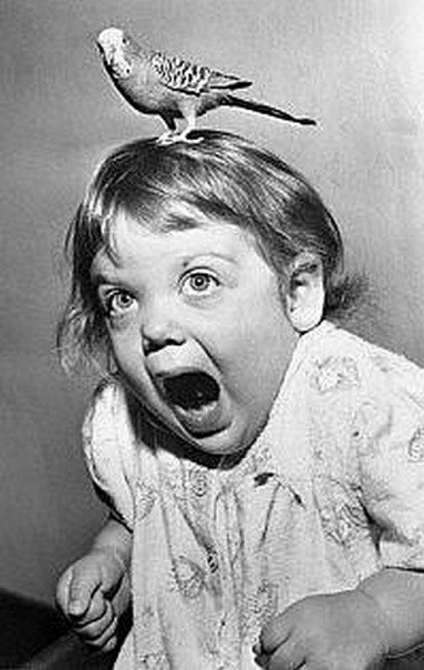 Дарья Шульгина | Москва