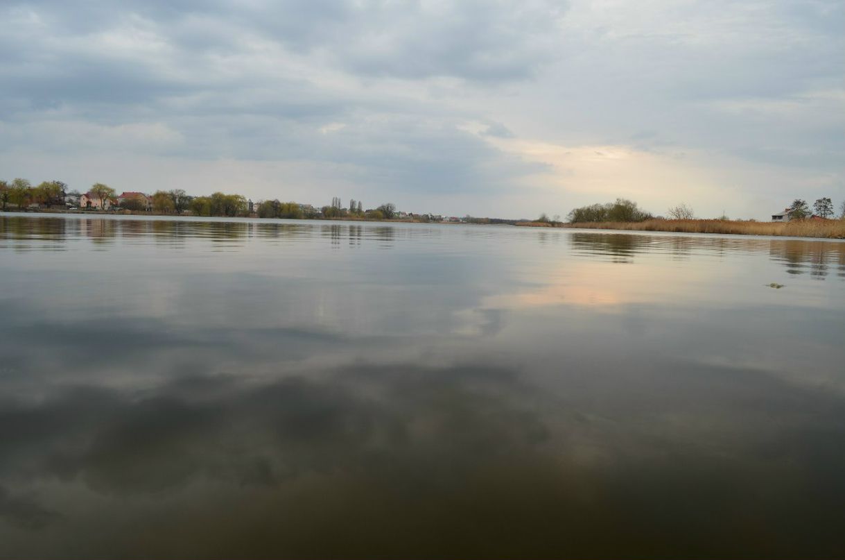 Сергій Дудін | Винница