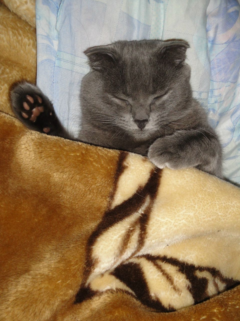 Дарья Гарбарук ღ♥ღЧертёнокღ♥ღ | 