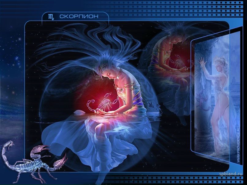 Руслан Сухарев | Санкт-Петербург