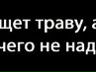 Вася Васильев | Москва