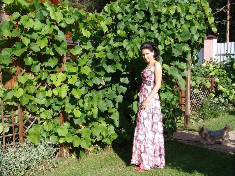 Юля Кажаева | Калуга