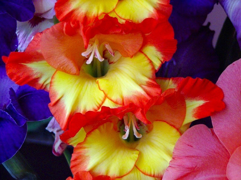 Влада Щепина | Санкт-Петербург