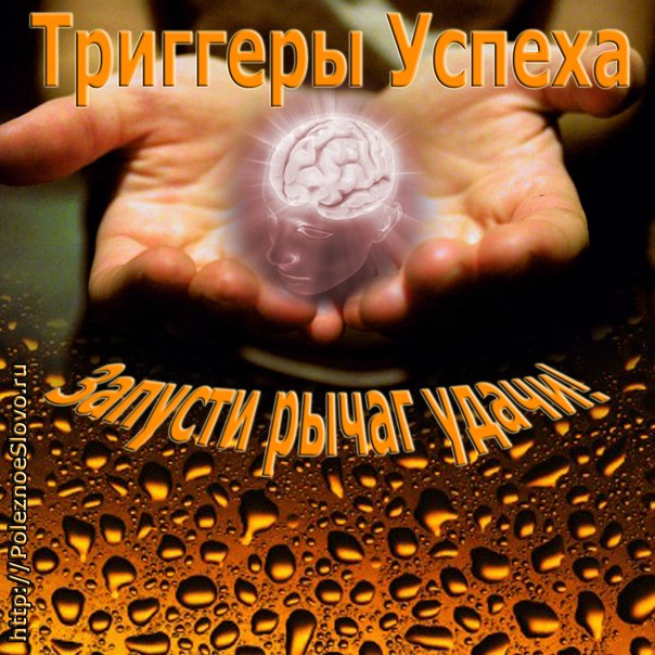 №95, Арина Полях, Одинцово №95, Арина Полях, Одинцово