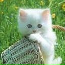 Руслан Забыл Эмммм | 