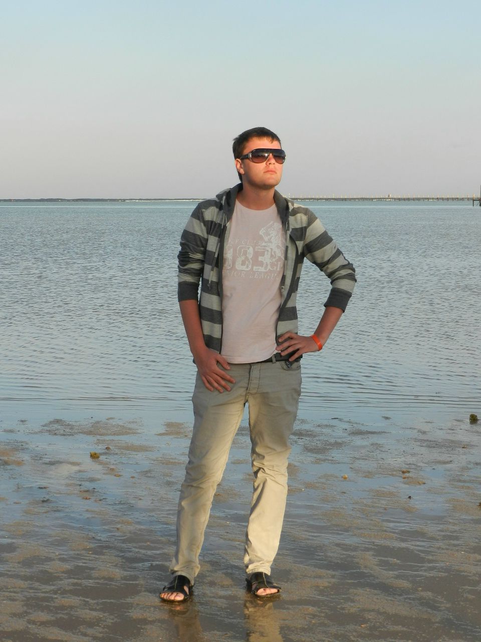 Олег Шемякин | 