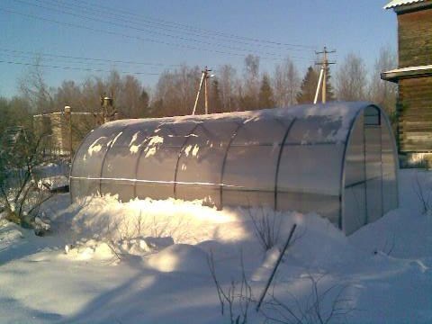 Наталия Борисова | Санкт-Петербург