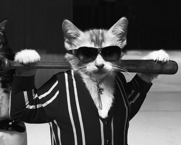 Макс Гулеватий | Хмельницкий