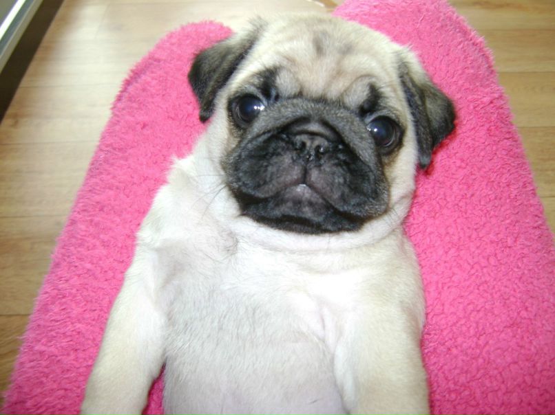 Ксения Юрченко | Санкт-Петербург