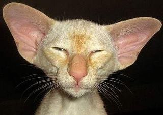 Yuliya Alyabina | Тюмень