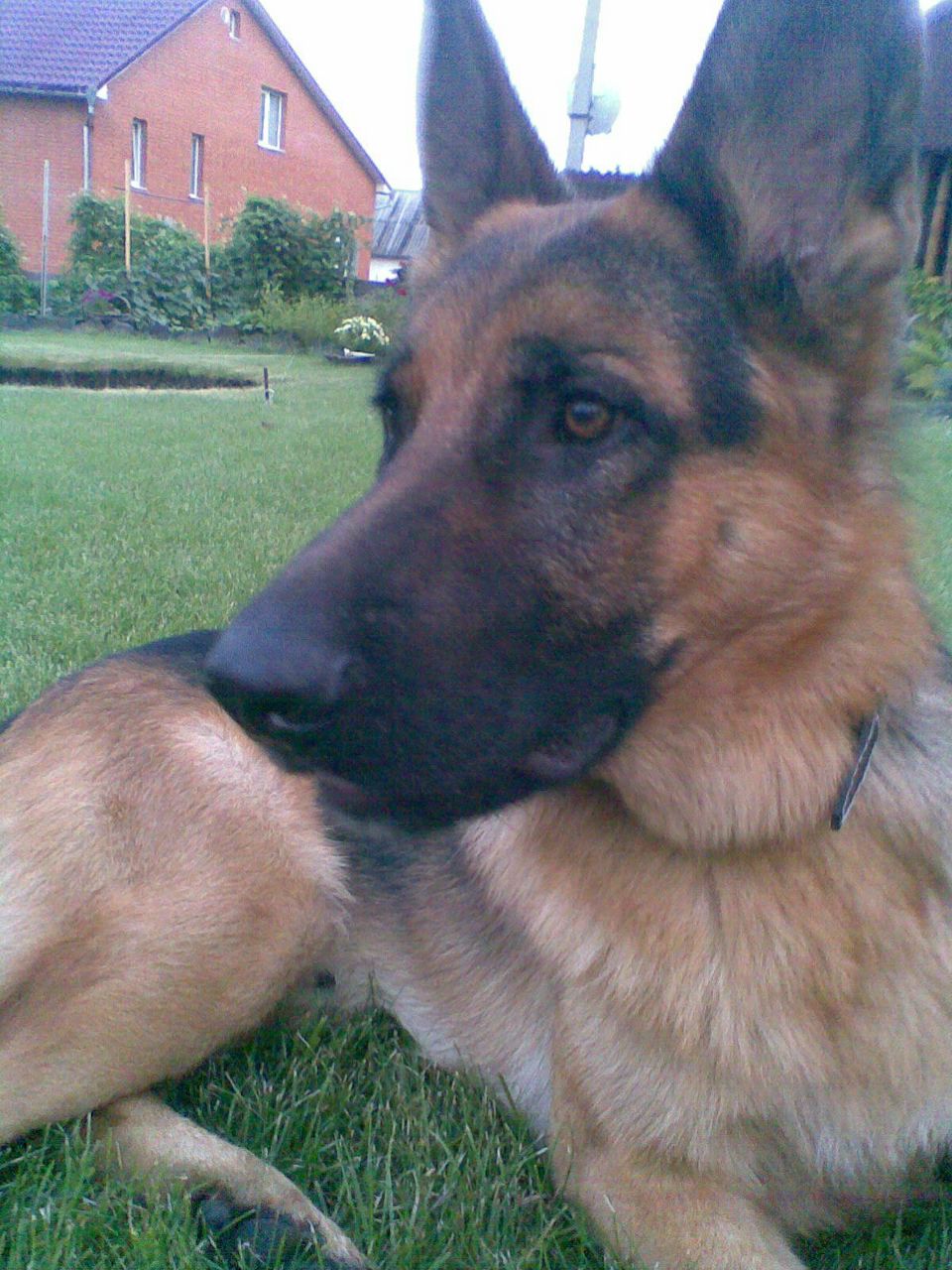 Тёма Гаврук | Вараш / Кузнецовск