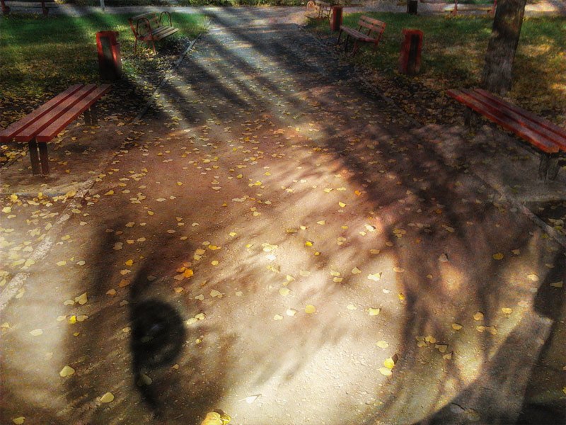 Ольга Бурмистрова | Тольятти