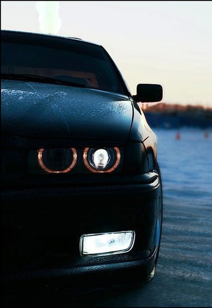 №138, Helen Moody, Витебск №138, Helen Moody, Витебск