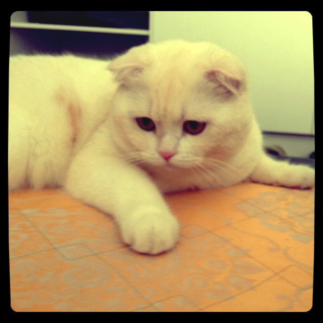 Эля Лешенка | Espoo