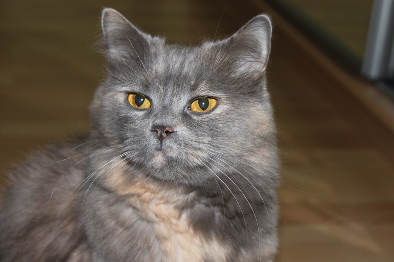 Оксана Яременко | Киев