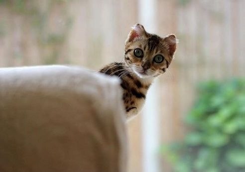 Виктория Макарова | Москва