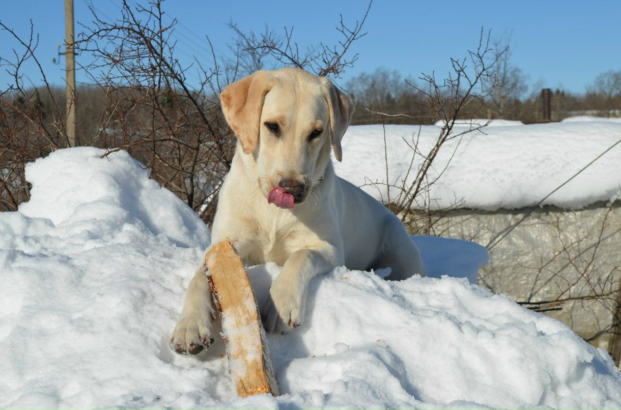 Marina-Марго Kameneva | Санкт-Петербург