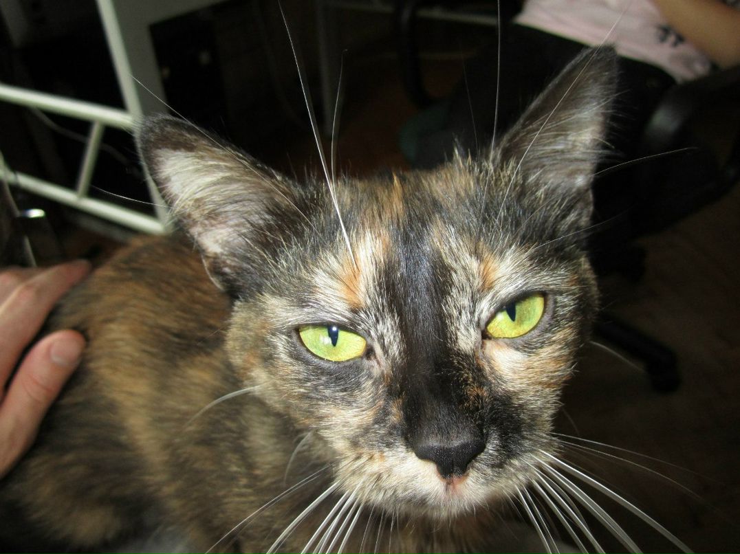 Костя Ефимов | 