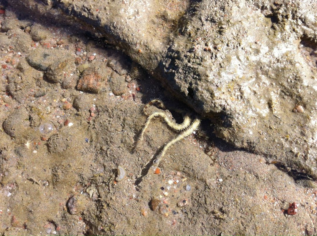 Вадим-S Тимчук MeyCry | Киев