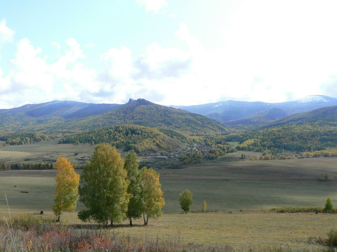 Вячеслав Рощин | 