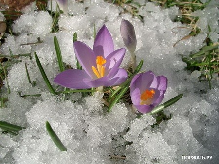 №116, Алеся Мосолова, 36 лет, Таруса №116, Алеся Мосолова, 36 лет, Таруса