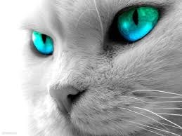 Ольга Кислицына | Йошкар-Ола