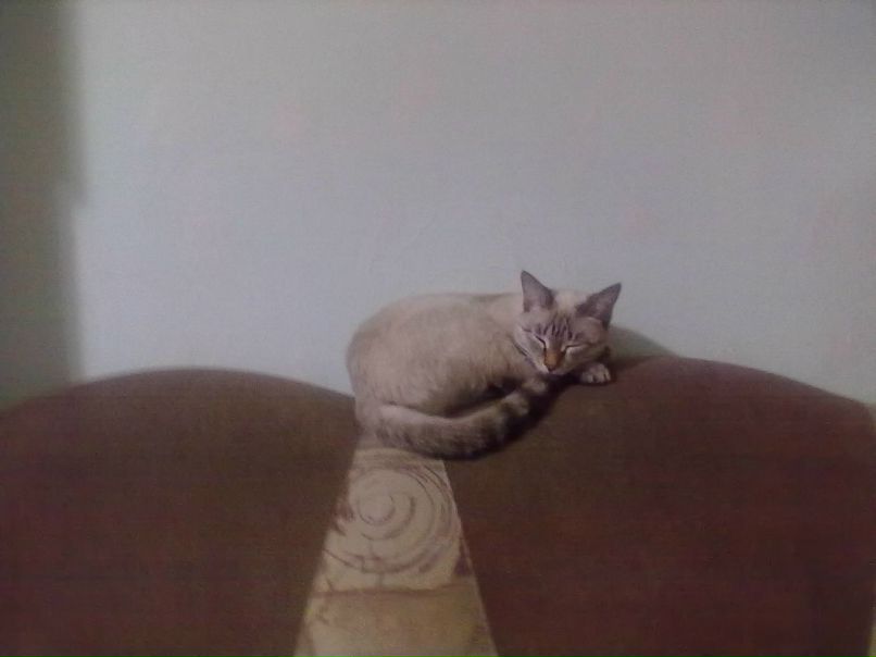 Андрей Терещук | Братск