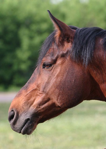 №181, Толик Крименицков, Крым, Россия №181, Толик Крименицков, Крым, Россия