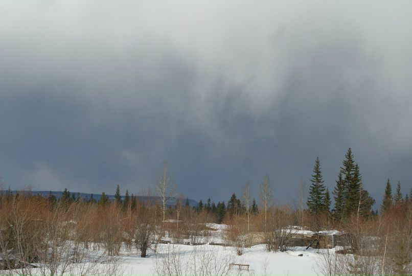 Иван Босниец | 