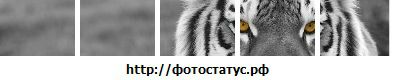 Фотография Богдан Мишура