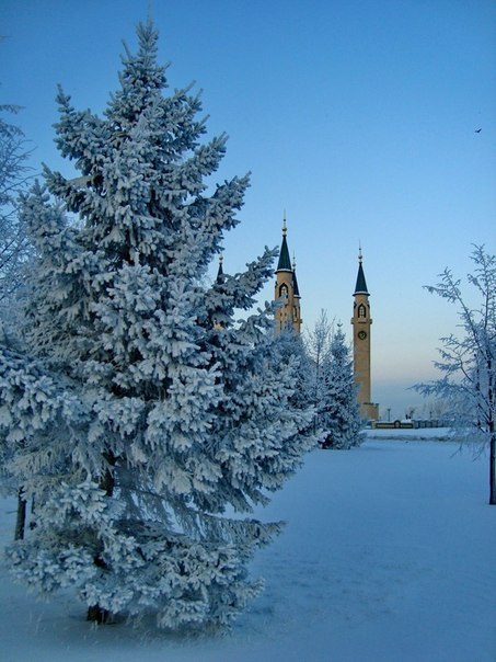 Гульнур Валеева | Нижнекамск