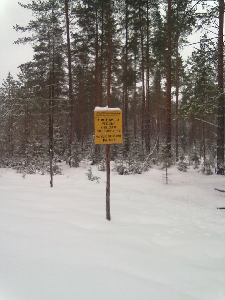 Кирилл Кольцов | Санкт-Петербург