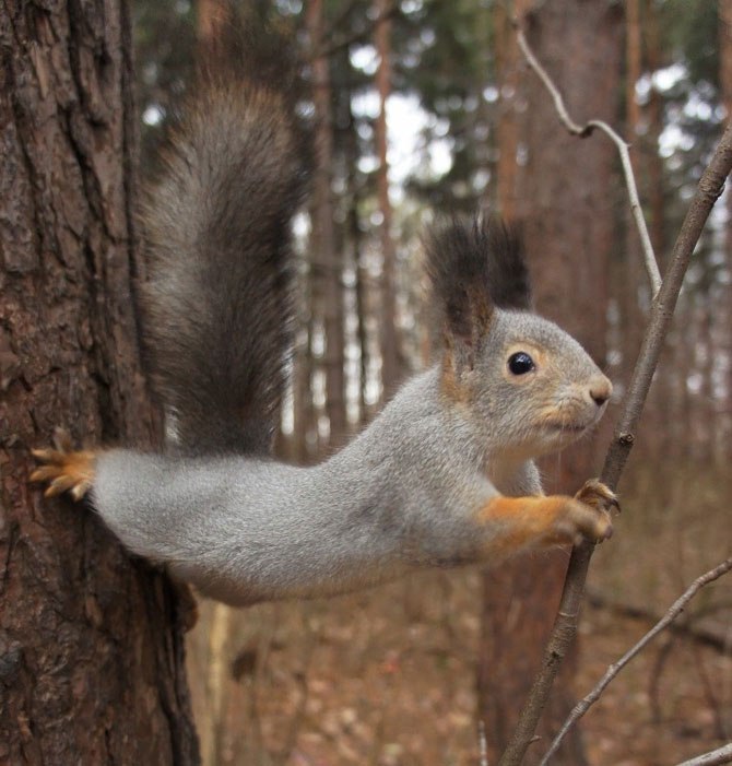 Наташа Васильева | Красноярск