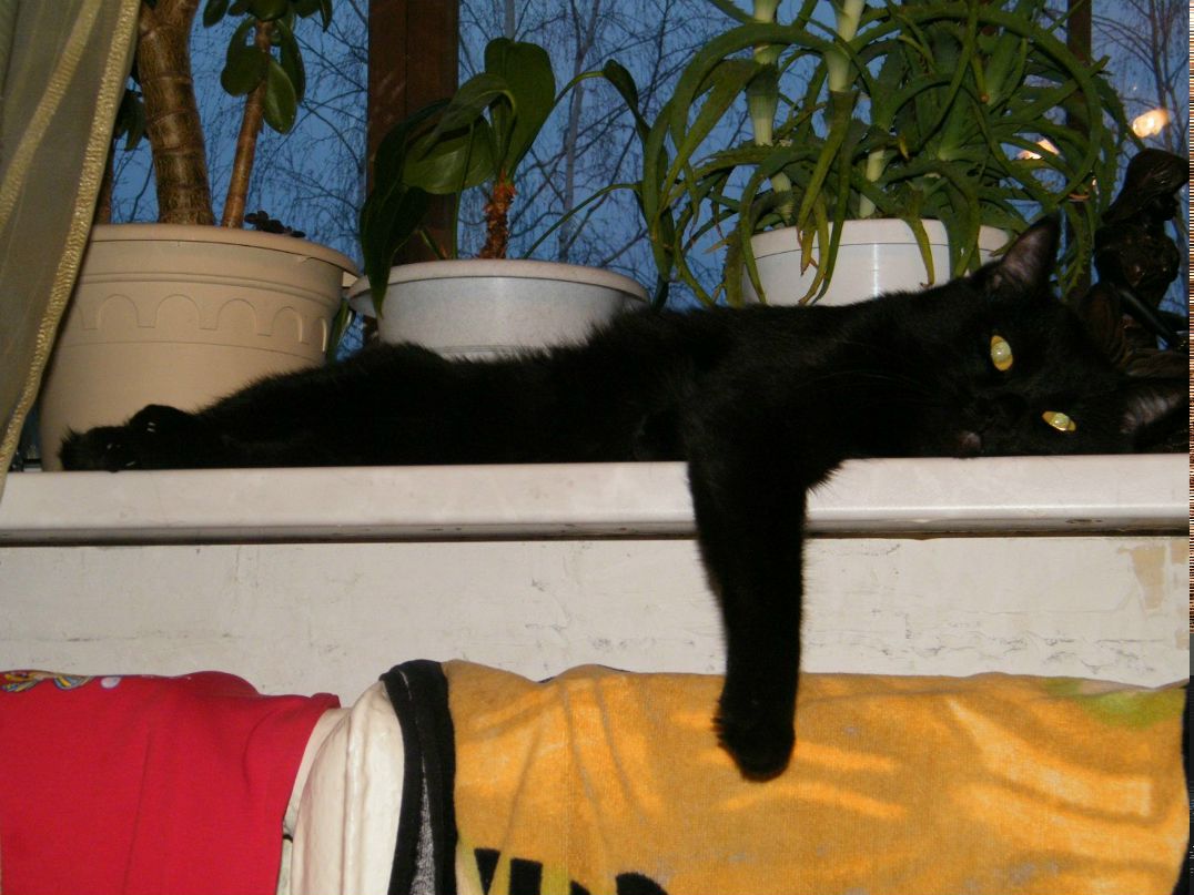 Роман Никитин | Санкт-Петербург