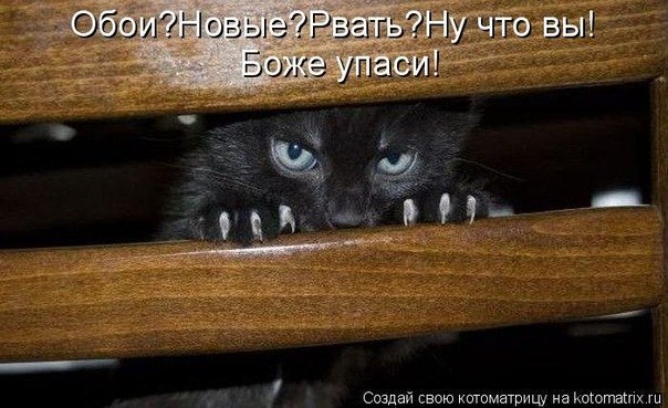 Елена Кустарова | Санкт-Петербург