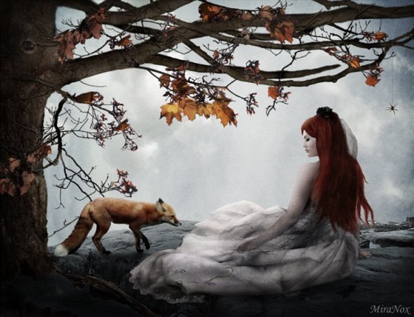 №152, Mira Nox, Санкт-Петербург, Россия №152, Mira Nox, Санкт-Петербург, Россия