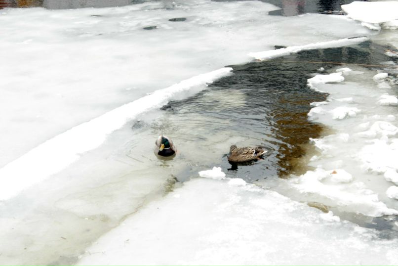 Любовь Клочкова | Санкт-Петербург