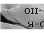 Кристина Петраш | Запорожье