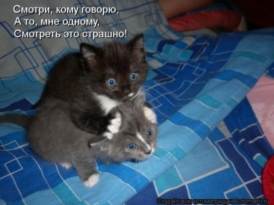 Елена Алексеева | Славянск