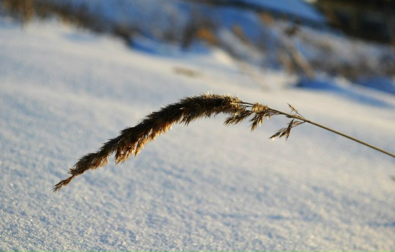 Олег Чепяков | Дзержинск