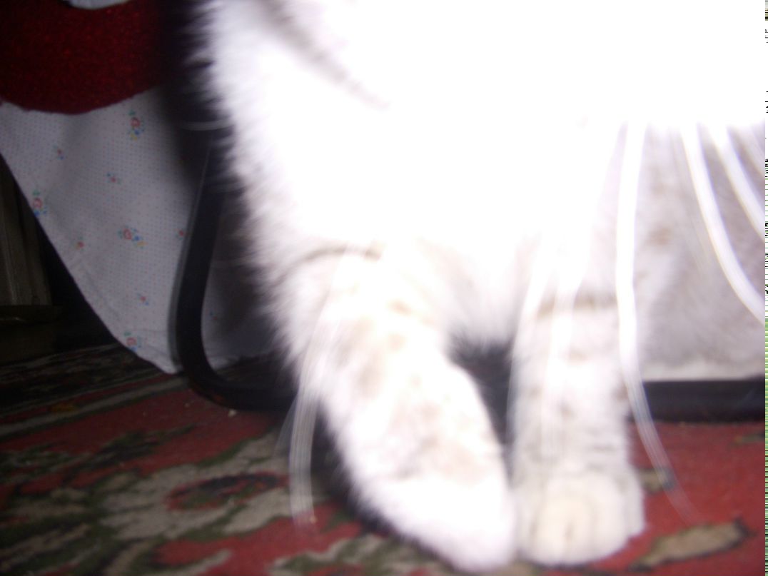 Maksim Gapchenko ¡La casa..) El descanso! | Санкт-Петербург