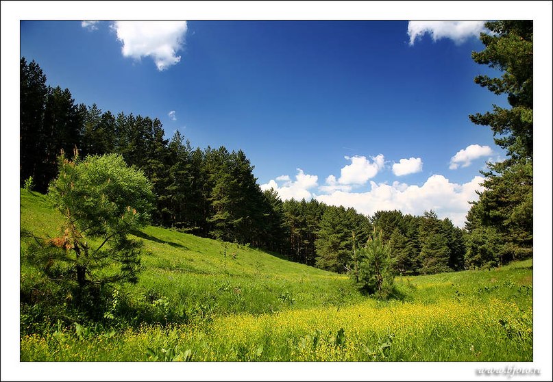 Денис Щербаков | Москва