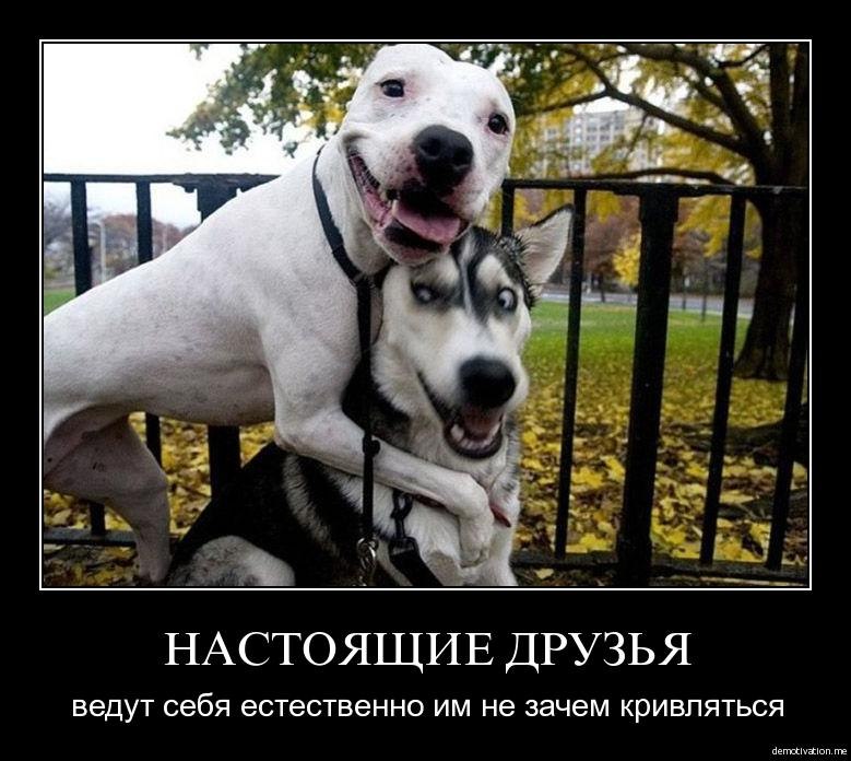 Мария Гончлевская | Минск