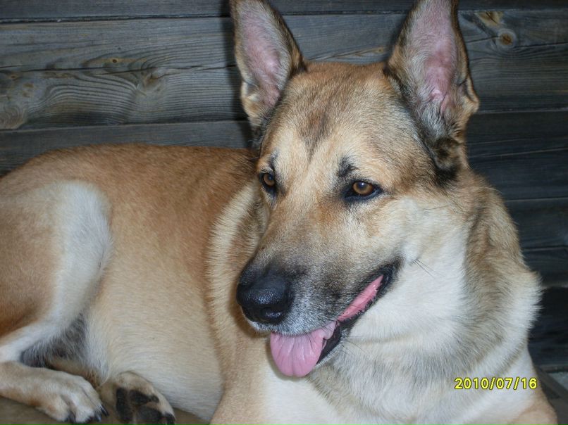 Анатолий Филатов | Санкт-Петербург