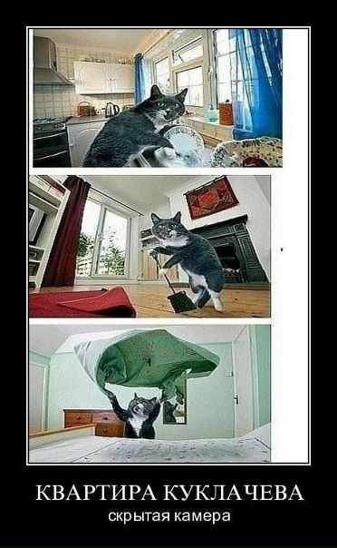 №110, Борис Будыка, Зугрэс №110, Борис Будыка, Зугрэс