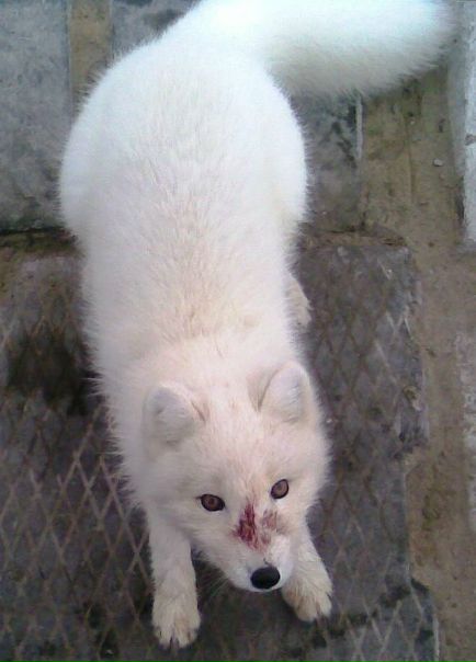 №34, Евгений Батуев, Санкт-Петербург №34, Евгений Батуев, Санкт-Петербург