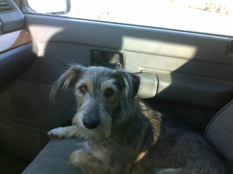 Игорь Будник | Уральск