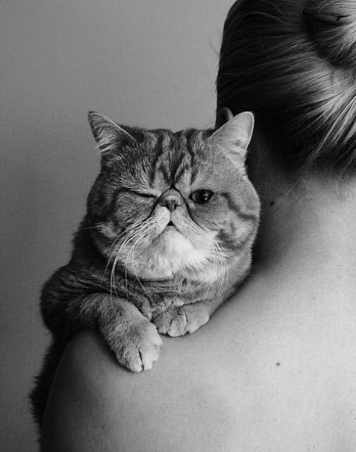 Анна Никишина | Брянск